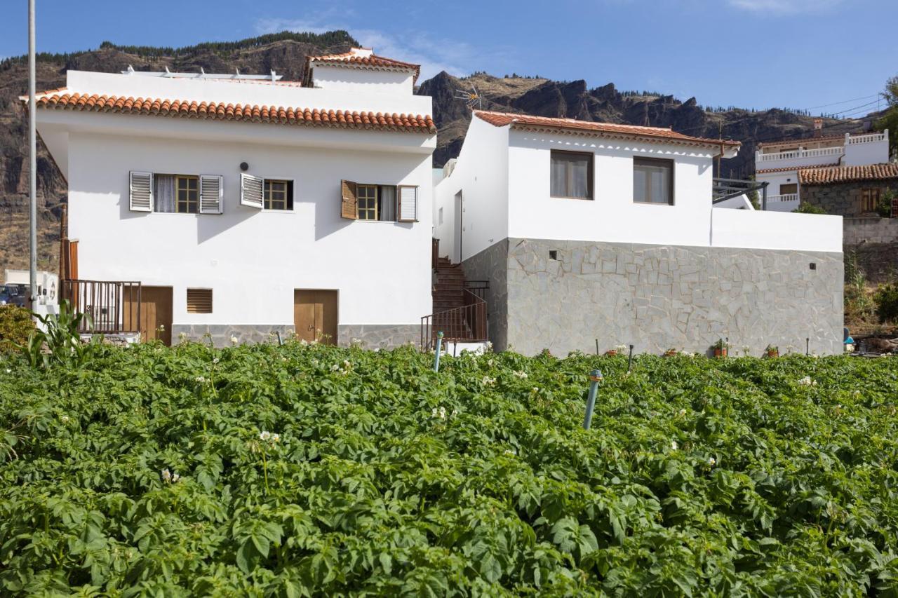 克鲁兹·德·特赫达Casa Isabela With Roque Nublo View公寓 外观 照片